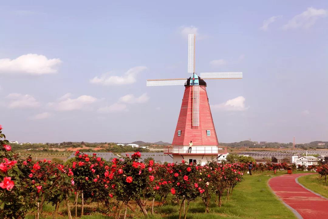 1560136400212363AOvy.jpg 微信图片_20190610105700.jpg